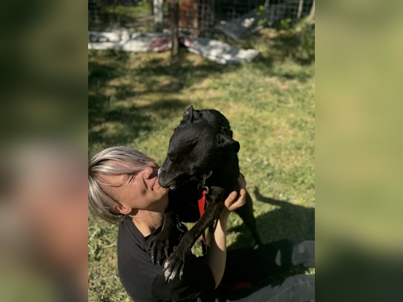 Lara Treue Seele sucht ihr endgültiges Zuhause