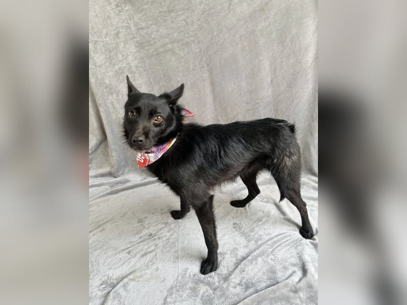 Frutti - Liebevolle Seele sucht einfühlsame Menschen!