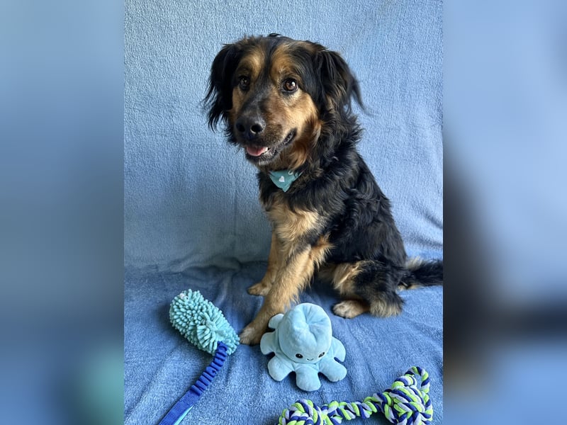 Zapote - Großer Schmusebär auf der Suche nach seinem Happy EndGroßer Schmusebär auf der Suche nach s