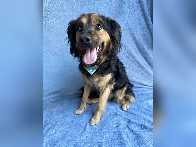 Zapote - Großer Schmusebär auf der Suche nach seinem Happy EndGroßer Schmusebär auf der Suche nach s