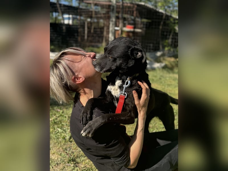 Lara Treue Seele sucht ihr endgültiges Zuhause