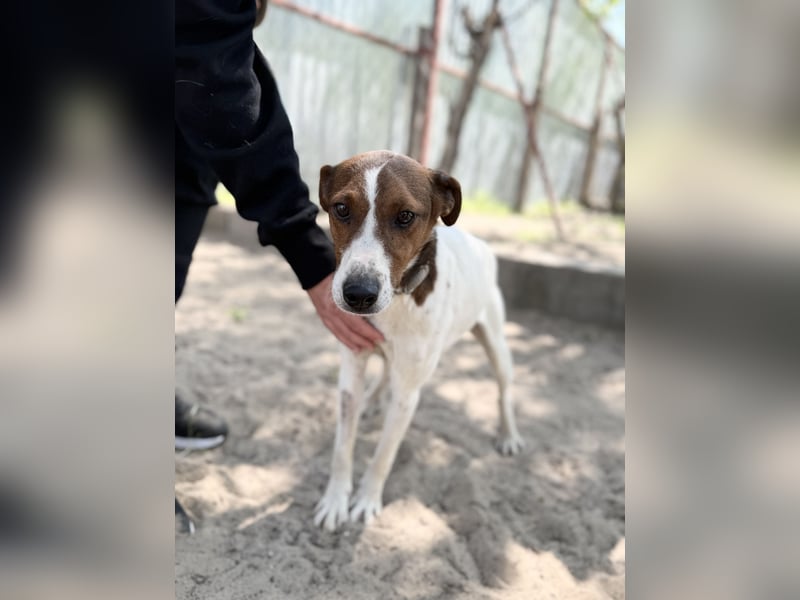 Nococo Kleiner Charmeur sucht sein Glück