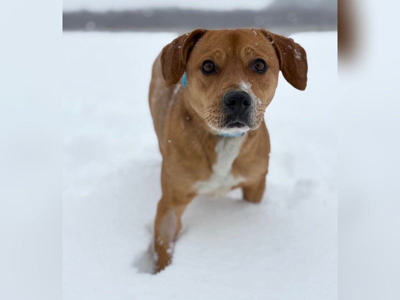 Gemma -Sanfte Seele sucht liebe Menschen