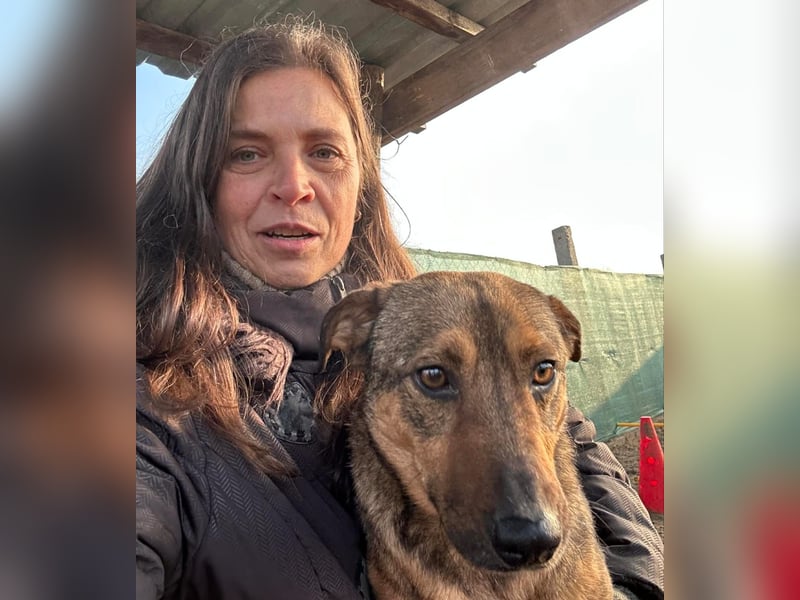 Prometeusz Sensibler Hund sucht Menschen mit Geduld und Herz