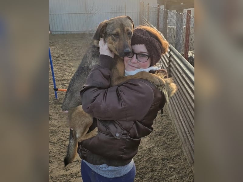 Prometeusz Sensibler Hund sucht Menschen mit Geduld und Herz