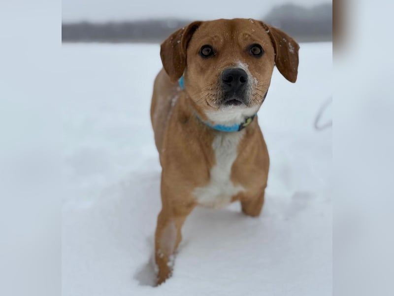 Gemma -Sanfte Seele sucht liebe Menschen