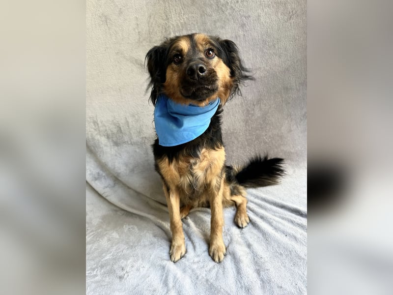 Zapote - Großer Schmusebär auf der Suche nach seinem Happy EndGroßer Schmusebär auf der Suche nach s