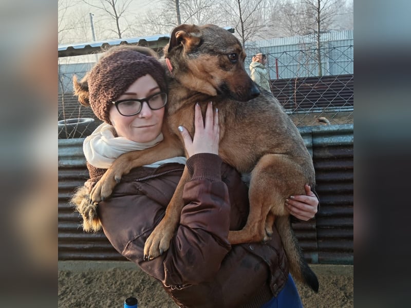 Prometeusz Sensibler Hund sucht Menschen mit Geduld und Herz