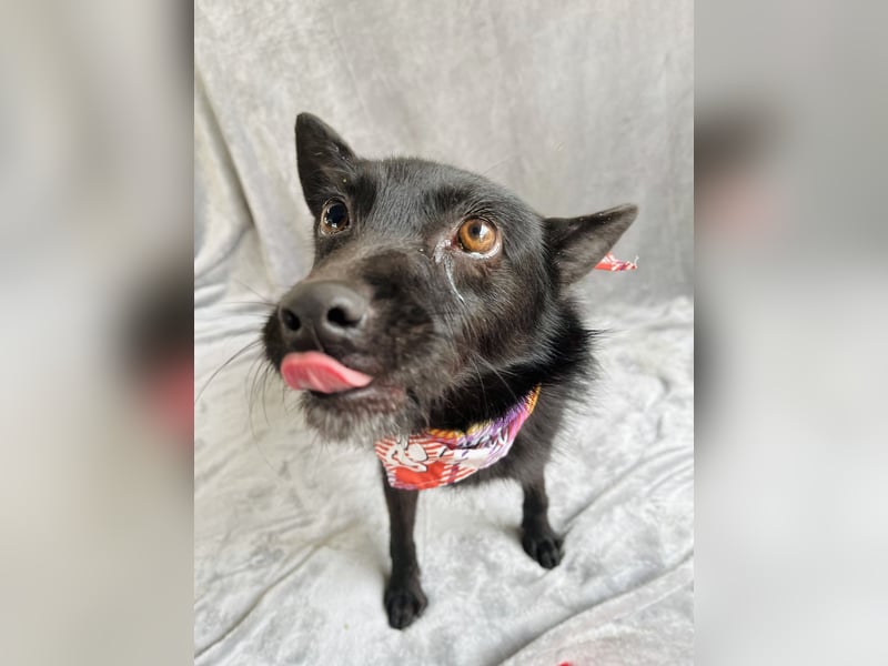 Frutti - Liebevolle Seele sucht einfühlsame Menschen!