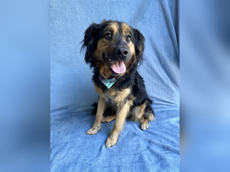 Zapote - Großer Schmusebär auf der Suche nach seinem Happy EndGroßer Schmusebär auf der Suche nach s