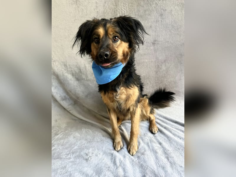 Zapote - Großer Schmusebär auf der Suche nach seinem Happy EndGroßer Schmusebär auf der Suche nach s