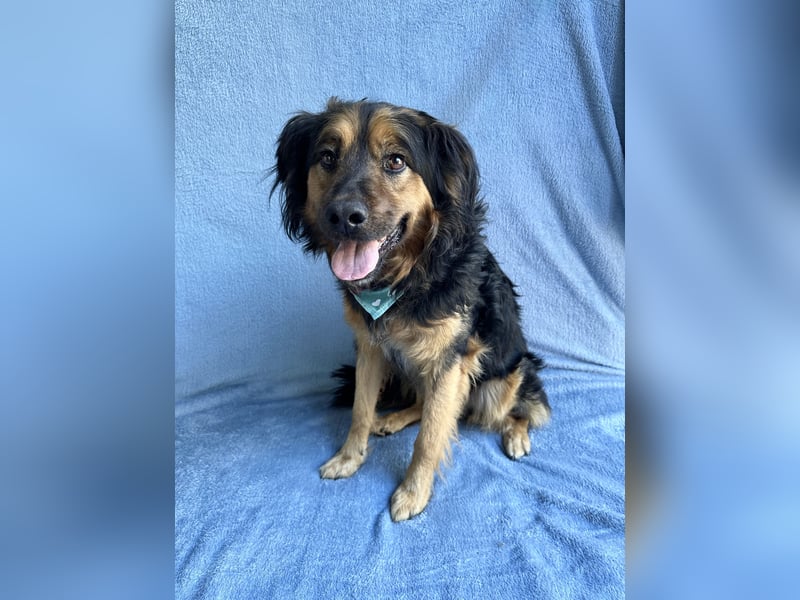 Zapote - Großer Schmusebär auf der Suche nach seinem Happy EndGroßer Schmusebär auf der Suche nach s