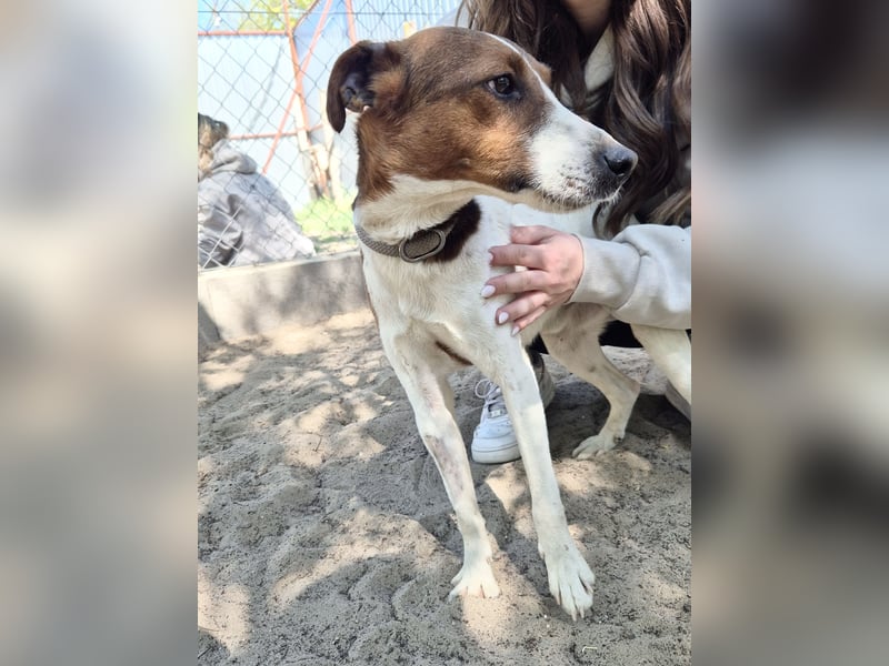 Nococo Kleiner Charmeur sucht sein Glück
