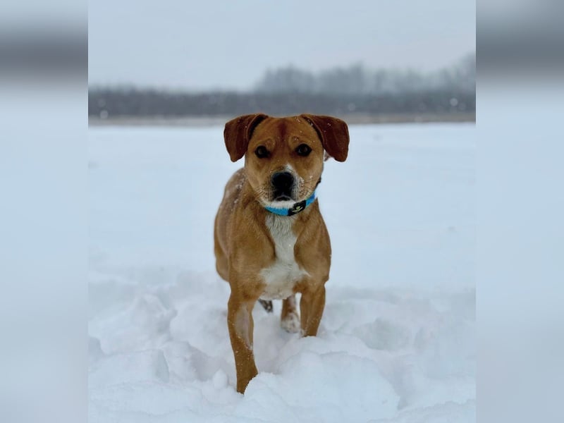 Gemma -Sanfte Seele sucht liebe Menschen