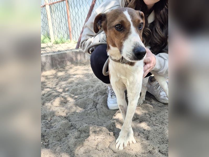 Nococo Kleiner Charmeur sucht sein Glück