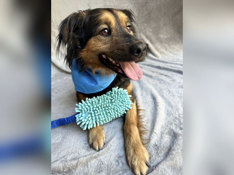 Zapote - Großer Schmusebär auf der Suche nach seinem Happy EndGroßer Schmusebär auf der Suche nach s