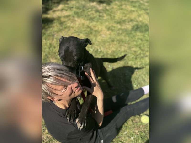 Lara Treue Seele sucht ihr endgültiges Zuhause