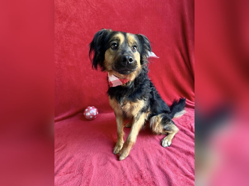 Zapote - Großer Schmusebär auf der Suche nach seinem Happy EndGroßer Schmusebär auf der Suche nach s
