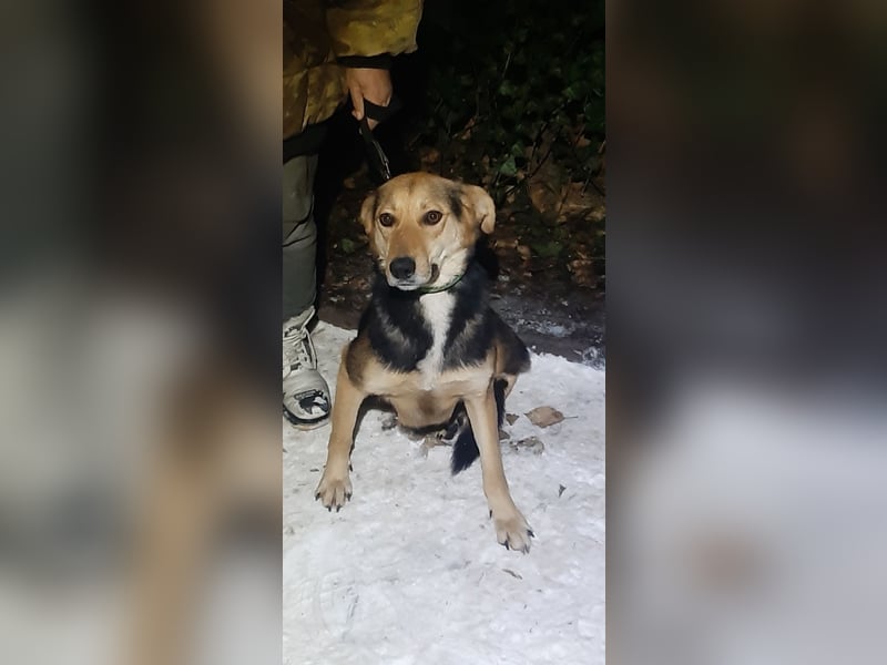 Laska – ein Herz voller Dankbarkeit und Liebe