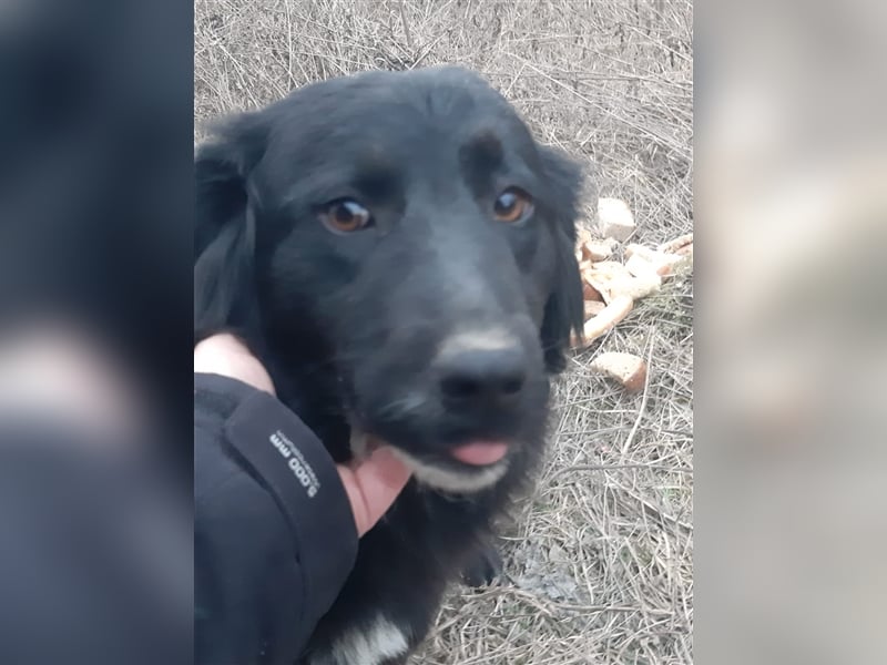 Chica sucht ihre Menschen