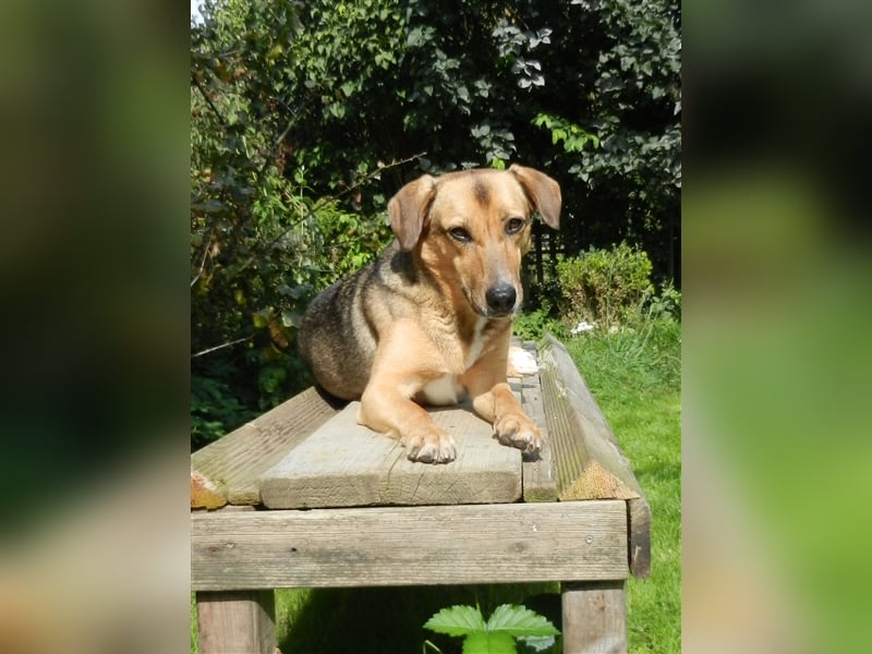 Freya sucht ihre Familie