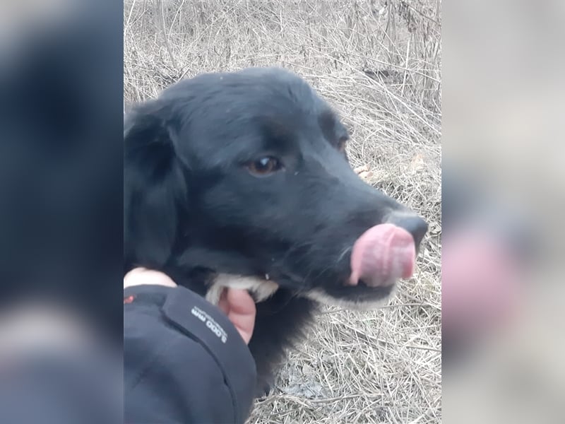 Chica sucht ihre Menschen