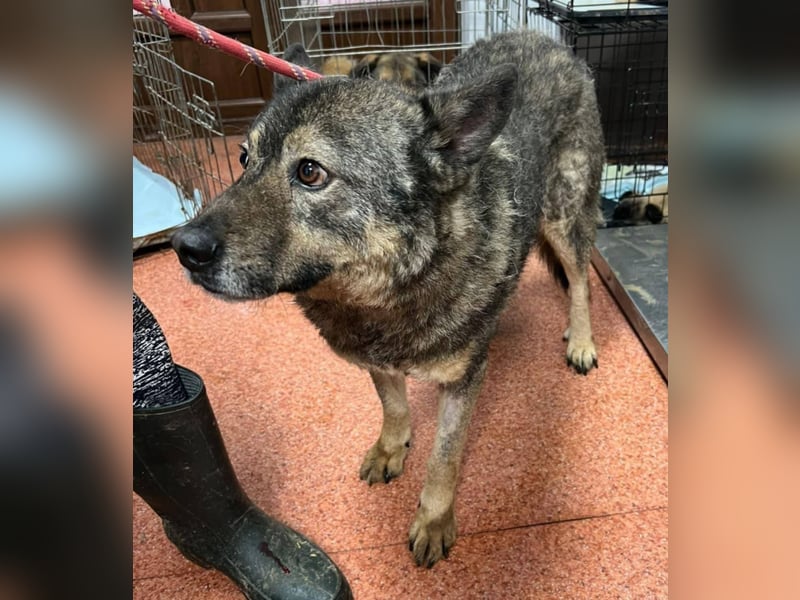 Emilio musste so viel Leid ertragen