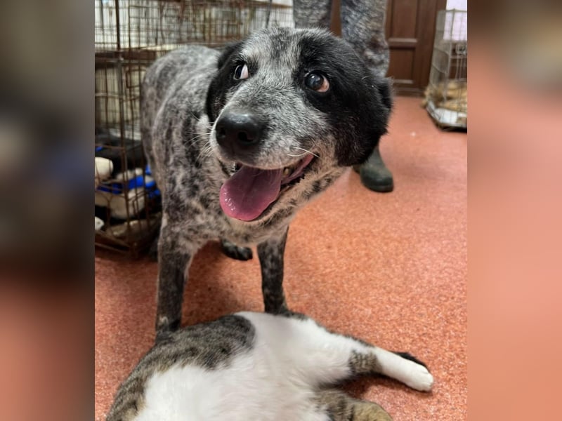 Kora - herzallerliebst❤️