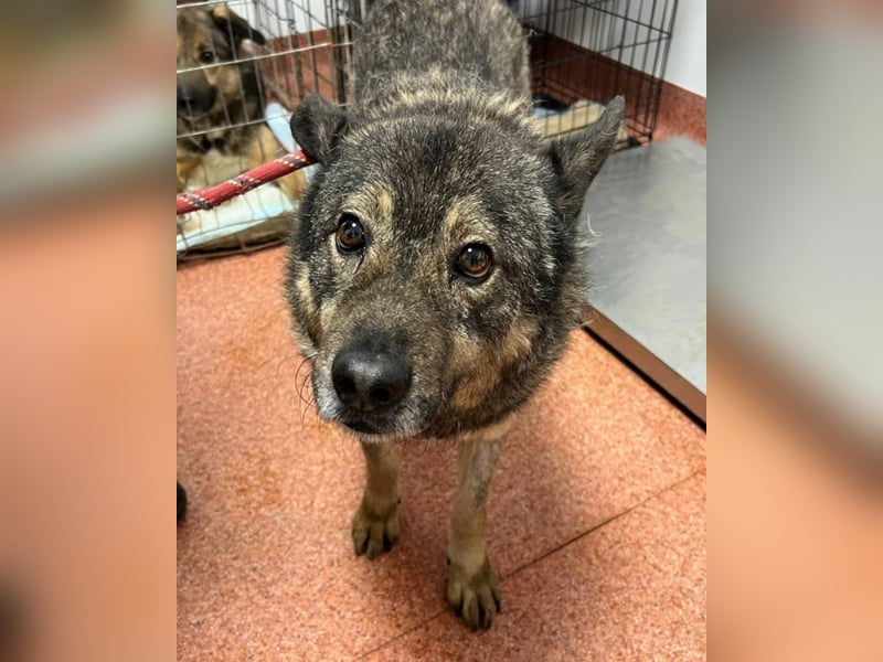 Emilio musste so viel Leid ertragen