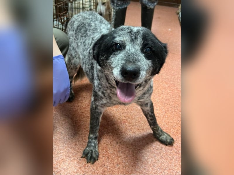 Kora - herzallerliebst❤️