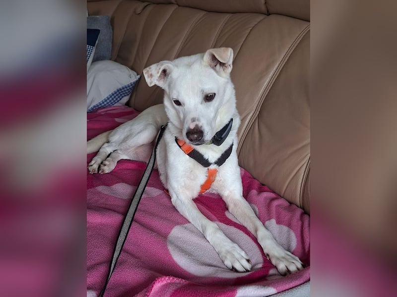 Frieda - fröhlich und unkompliziert