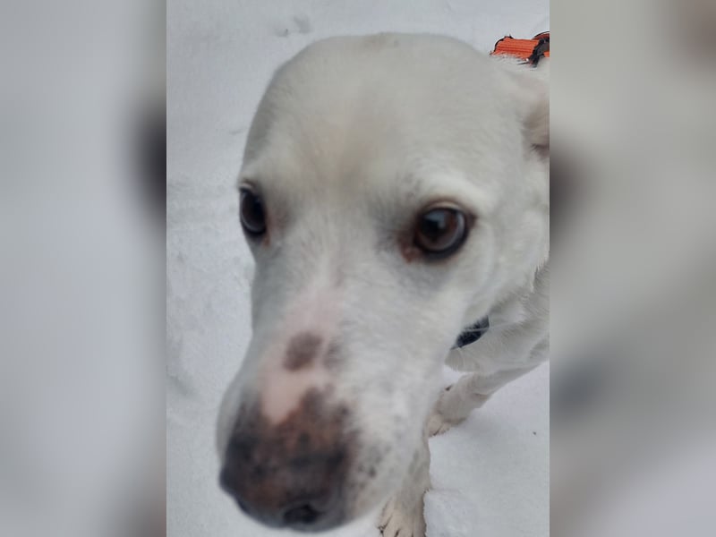 Frieda - fröhlich und unkompliziert