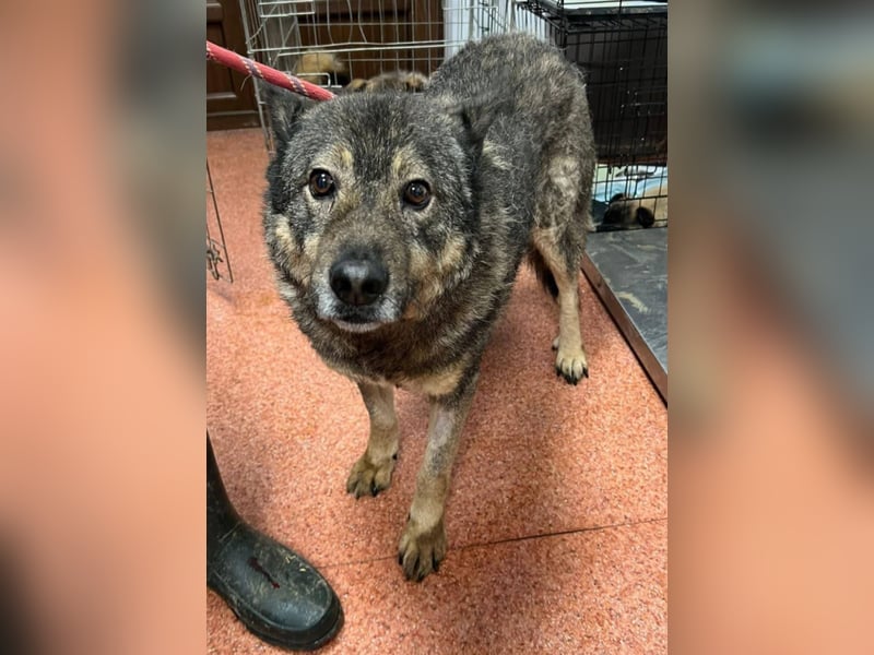 Emilio musste so viel Leid ertragen