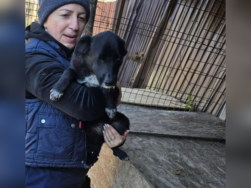 Ronya - süßer Schatz