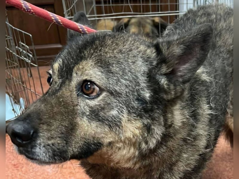 Emilio musste so viel Leid ertragen