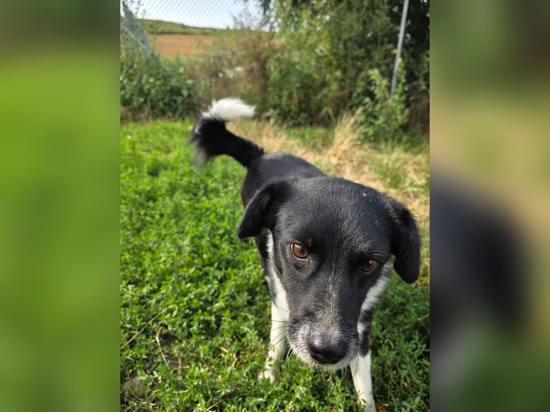 Lola - unternehmungslustig