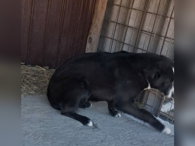 Maylo - sooo hübsch❤️