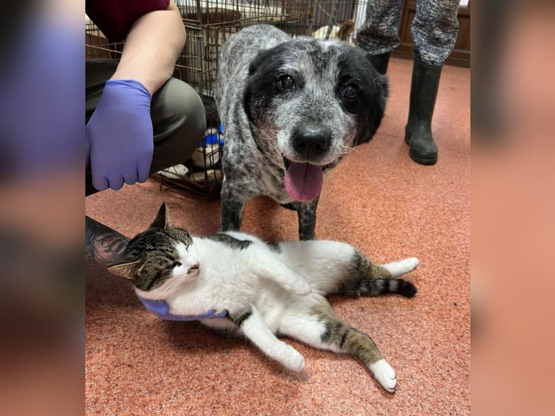 Kora - herzallerliebst❤️