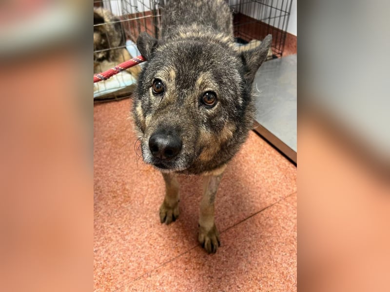 Emilio musste so viel Leid ertragen