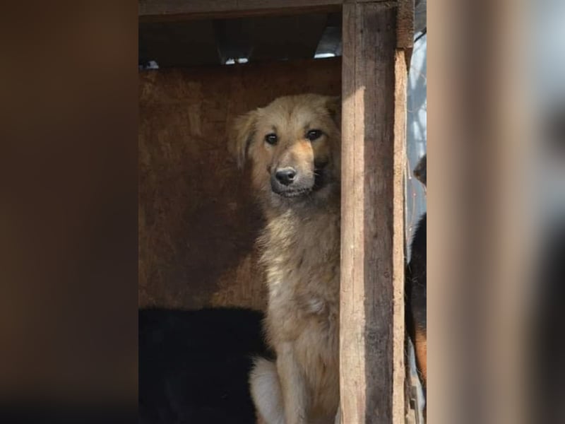 Luna - kennt nur das Leben auf wenigen Quadratmetern