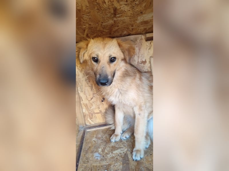 Luna - kennt nur das Leben auf wenigen Quadratmetern