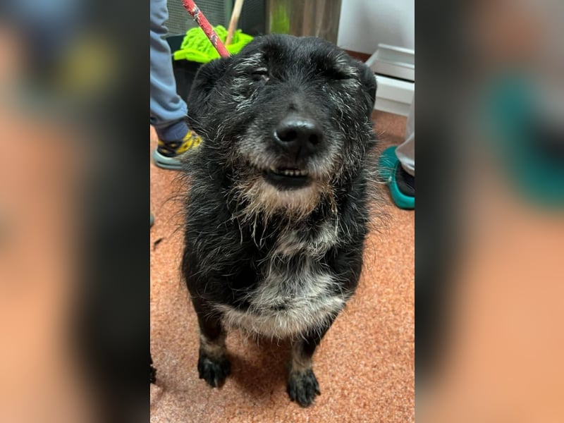 Drako - er hatte einen Schutzengel