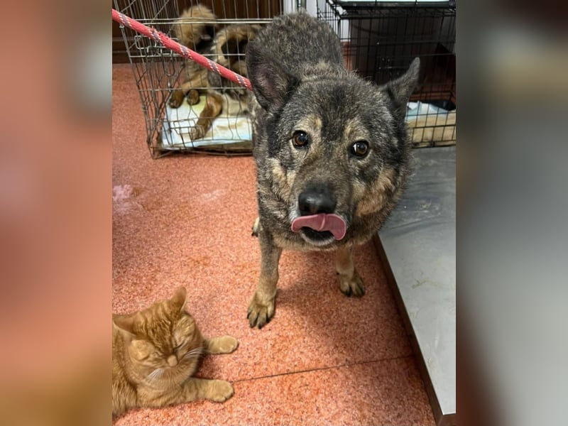 Emilio musste so viel Leid ertragen