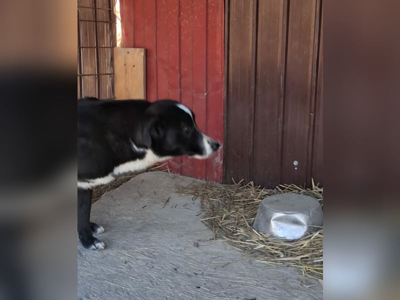 Maylo - sooo hübsch❤️