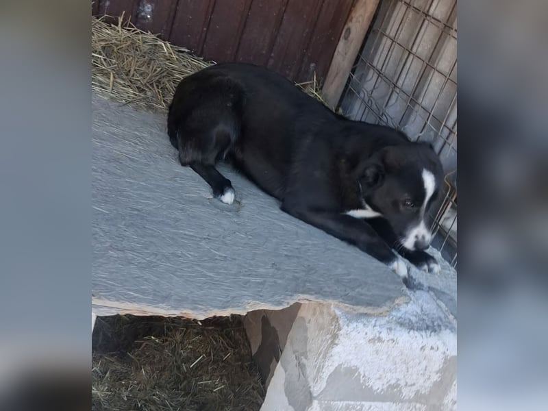 Maylo - sooo hübsch❤️