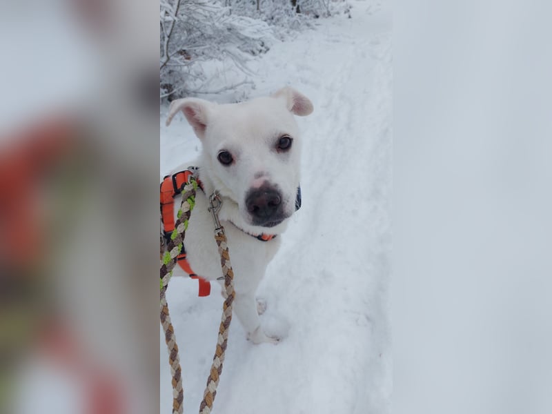 Frieda - fröhlich und unkompliziert