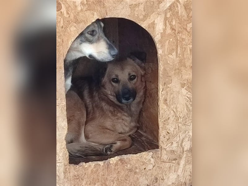 Luna - kennt nur das Leben auf wenigen Quadratmetern