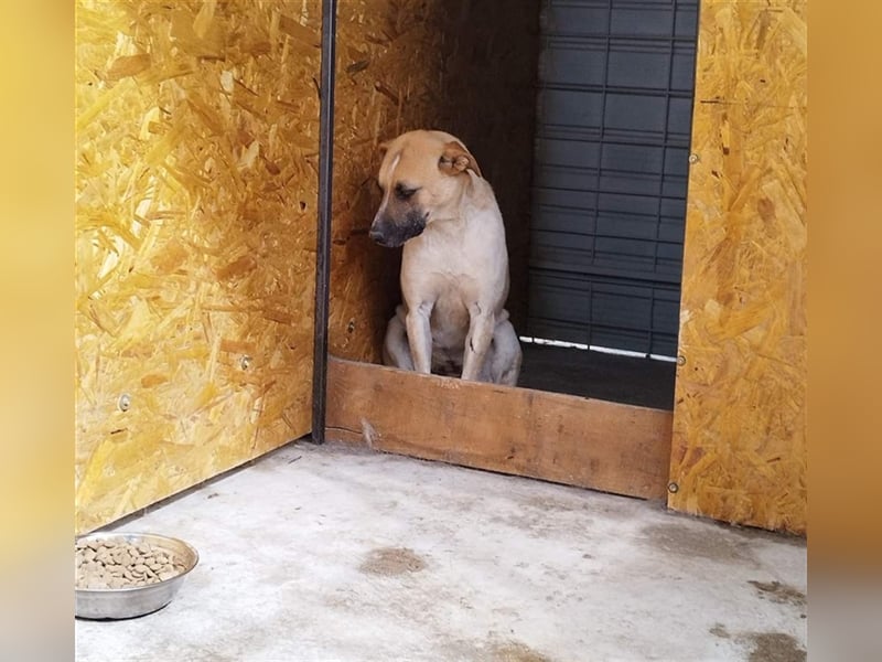 Anouk - fehlt noch ein bisschen Mut