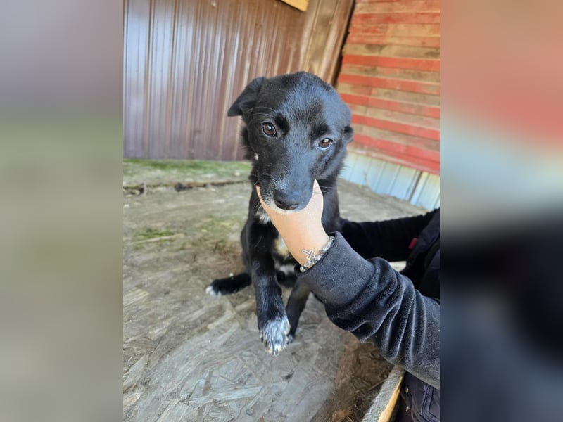 Ronya - süßer Schatz