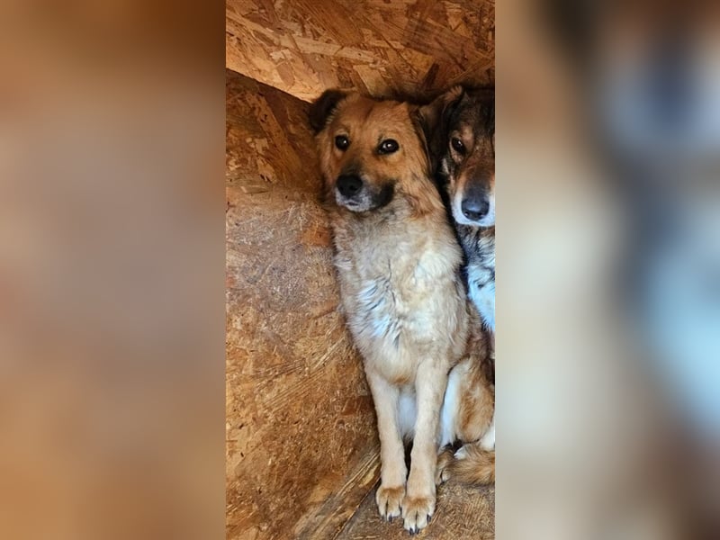 Luna - kennt nur das Leben auf wenigen Quadratmetern